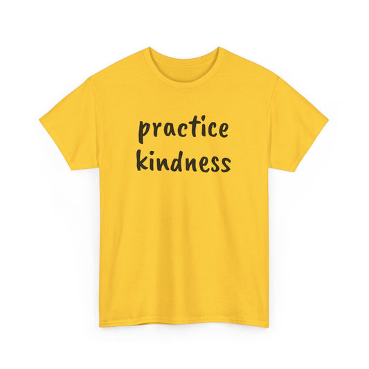 Practice Kindness Tee Shirt