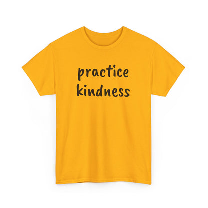 Practice Kindness Tee Shirt